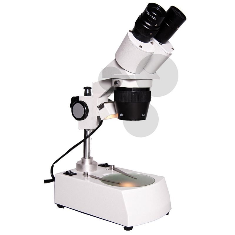 Loupe Binoculaire biéclairante LED x20 et x40