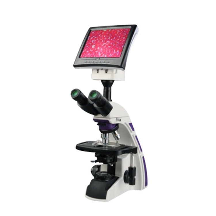 Microscope d’affichage à cristaux liquides