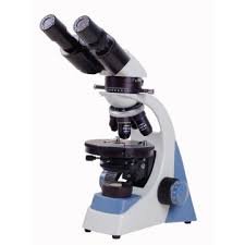 Microscope polarisant binoculaire