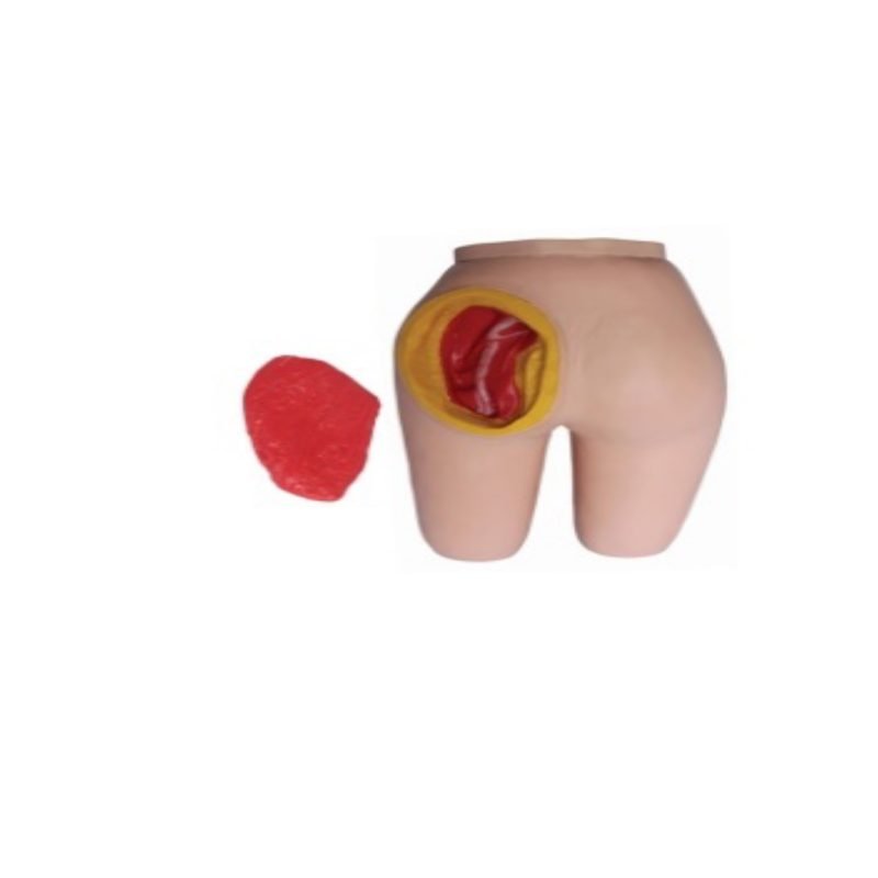 Modèle de formation avancé à l’injection intramusculaire