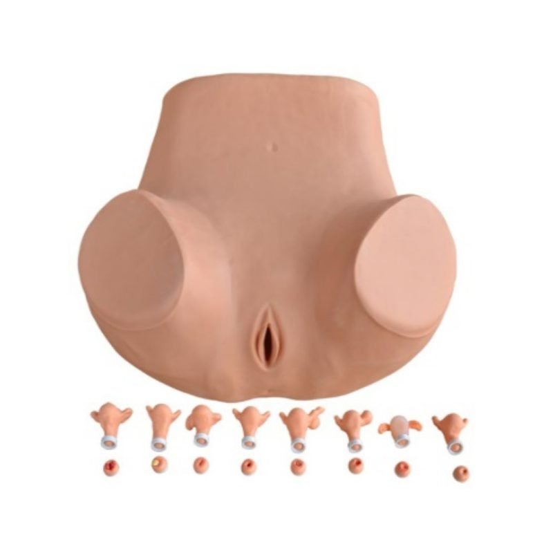 Simulateur d’entraînement gynécologique